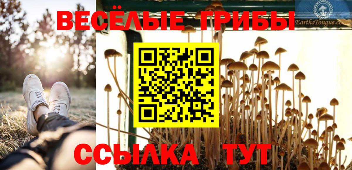 Псилоцибиновые грибы Magic Shrooms Сосновоборск