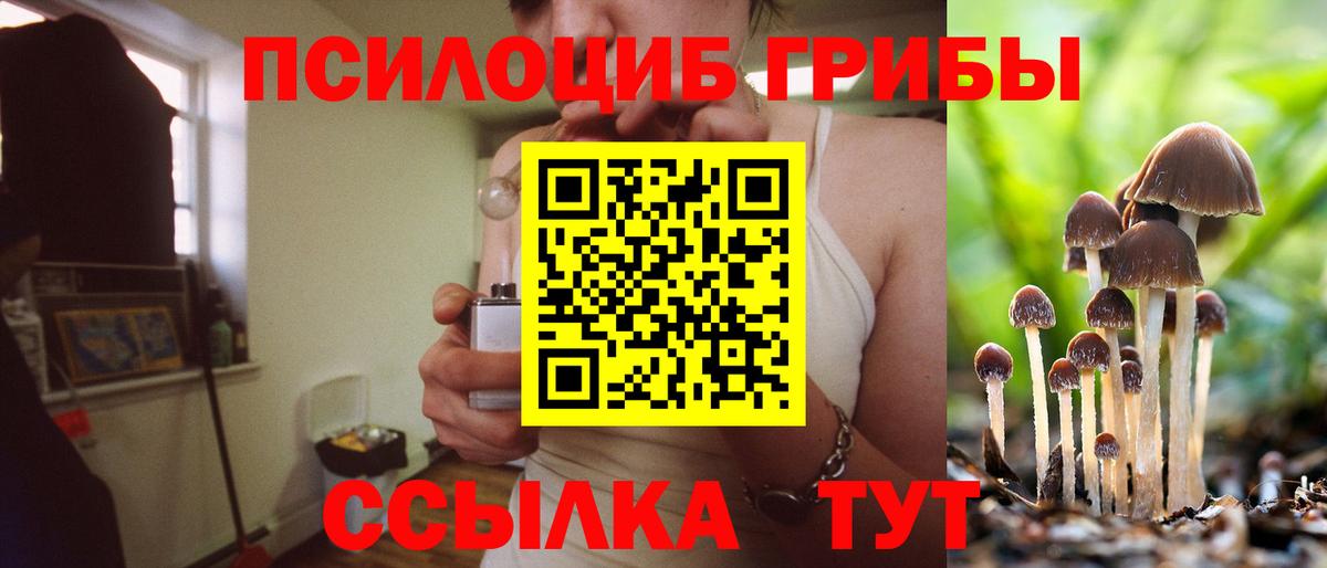 как найти закладки  Псилоцибиновые грибы Psilocybine cubensis  Сосновоборск  Вход с VPN  Псилоцибиновые грибы Psilocybine cubensis 
